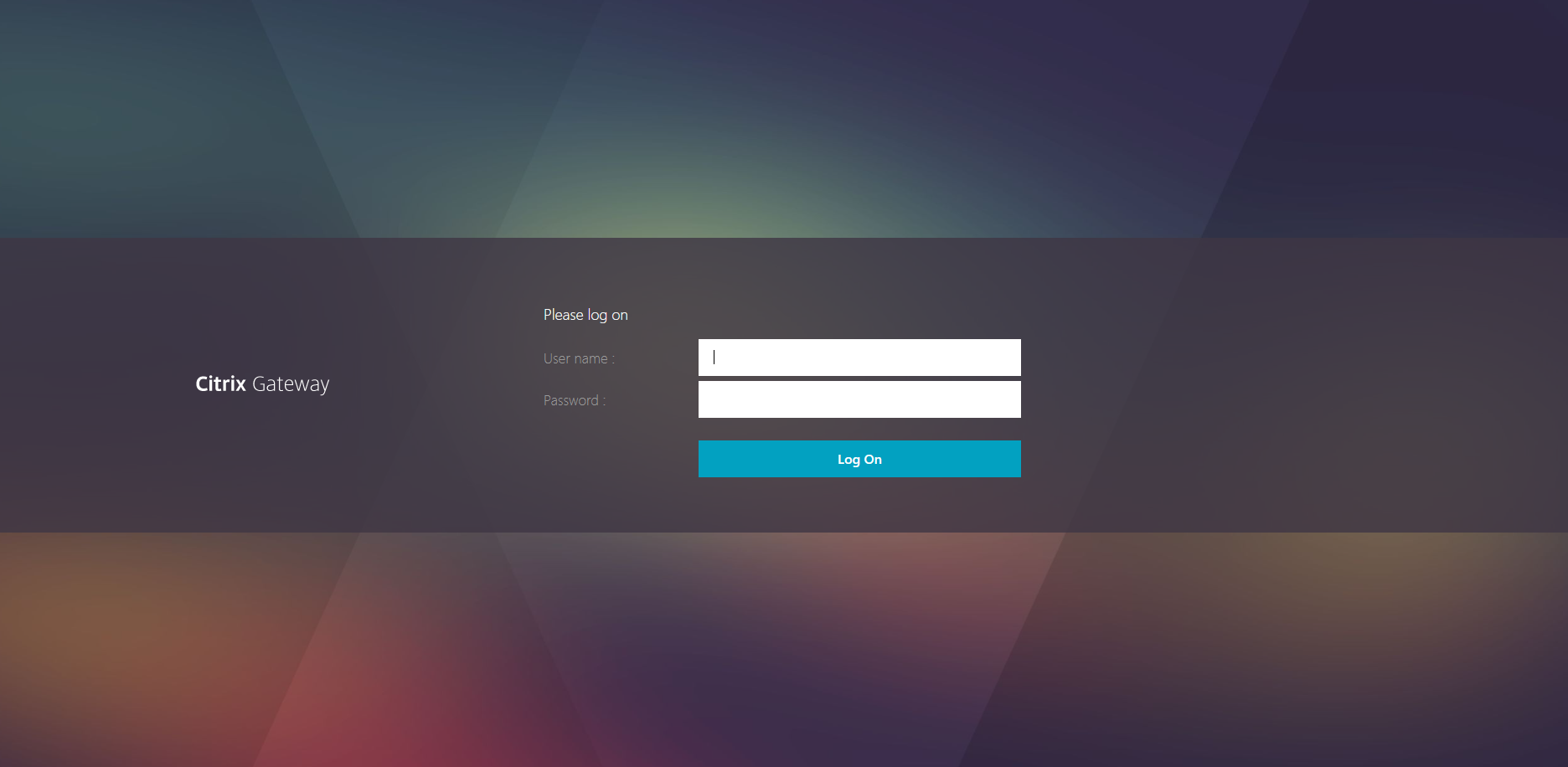 CitrixLoginScreen.png