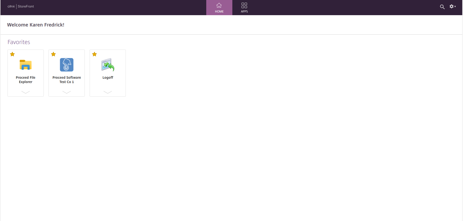 CitrixSuccessfulLogin.png